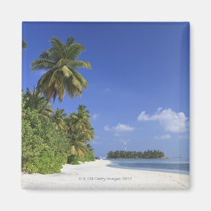 Maldiven, Meemu Atoll, Medhufushi Island Magneet