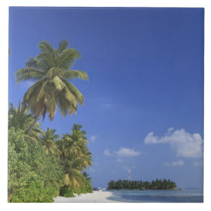 Maldiven, Meemu Atoll, Medhufushi Island Tegeltje