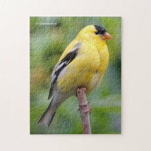 Male American Goldfinch op de Bamboe Legpuzzel