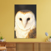 Male Barn Owl (Tyto alba), Verenigde Staten. Canvas Afdruk (Insitu (Woonkamer))