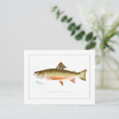 Male Brook Trout Briefkaart (Staand voorkant)