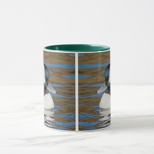 Male Bufflehead Duck in the Aftermiddag Sun Mok (Midden)