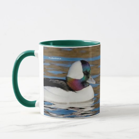 Male Bufflehead Duck in the Aftermiddag Sun Mok (Links)