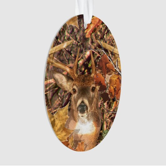 Mâle dans des cerfs communs de queue blanche de (devant)