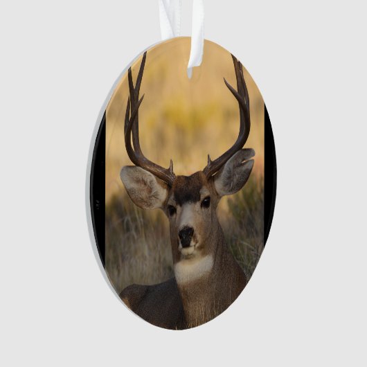 mâle de cerfs communs (devant)