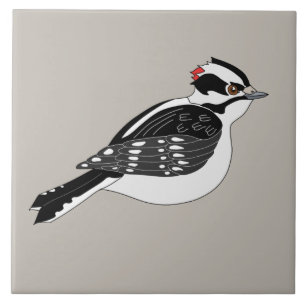 Male Downy Woodpecker Bird met Red Head Tegeltje