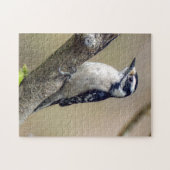 Male Downy Woodpecker Puzzle Legpuzzel (Horizontaal)