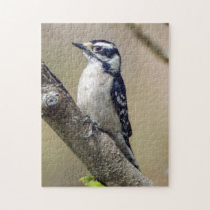 Male Downy Woodpecker Puzzle Legpuzzel