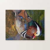 Male Duck Legpuzzel (Horizontaal)