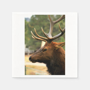 Male Elk Servetten