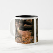 MÂLE ÉNORME ! TASSE (Devant gauche)