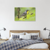 Male Gele-troebele Warbler, Dendroica Canvas Afdruk (Insitu (Slaapkamer))