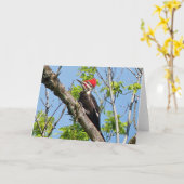 Male gepileerde houtsnikker kaart (Gele Bloem)