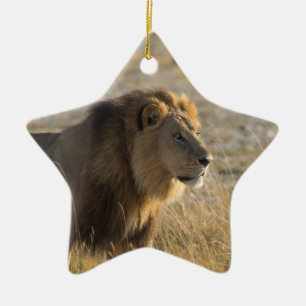 MALE LION 14 BOTSWANA KERAMISCH ORNAMENT