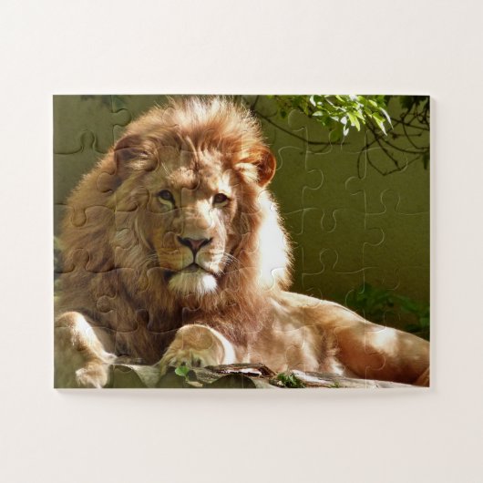 MALE LION FOTOGRAPHY PUZZZLES LEGPUZZEL (Horizontaal)