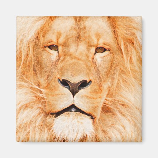 MALE LION MAGNEET (Voorkant)