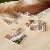 MALE LION PHOTOGRAPHIE PUZZLES (Côté)