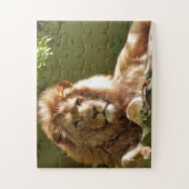MALE LION PHOTOGRAPHIE PUZZLES (Vertical)