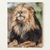 Male Lion Sunbathing Planner (Achterkant)