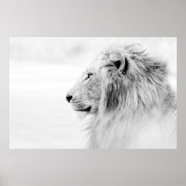 MALE LION - ZWARTE EN WITTE POSTER