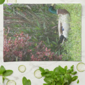 Male Mallard Canards Serviettes de cuisine (Plié)