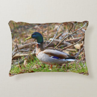 Male Mallard Duck Accent Kussen