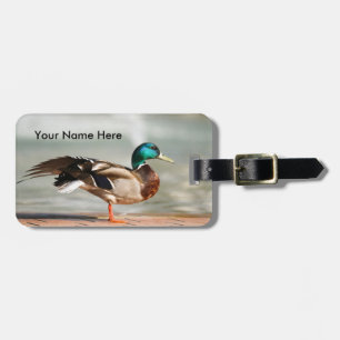 Male Mallard Duck Bagagelabel