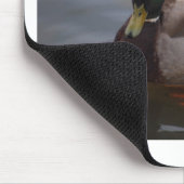 Male Mallard Duck Muismat (Hoek)