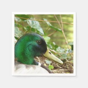 Male Mallard Duck Napkin Servet