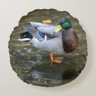 Male Mallard Duck Round Pillow Rond Kussen