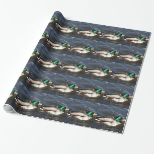 Male Mallard Duck Wrapping Paper Cadeaupapier