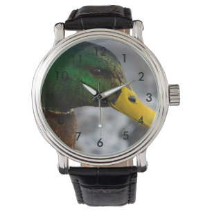 Male Mallard Portrait Horloge