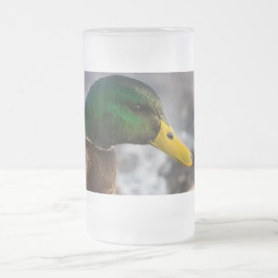 Male Mallard Portrait Matglas Bierpul