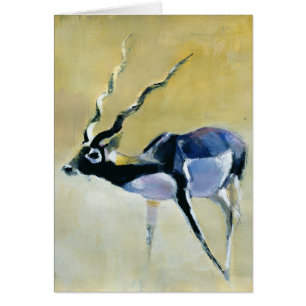 Mâle noir Velavadar 1997