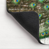 Male Peacock-doetherscherm Muismat (Hoek)