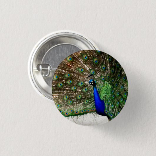 Male Peacock-doetherscherm Ronde Button 3,2 Cm (Voorkant /achterkant)
