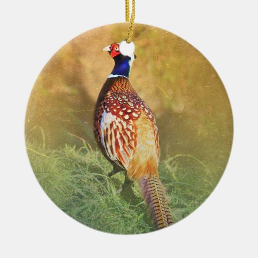 Male Pheasant Ornament (Voorkant)
