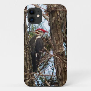 Male Pileated Woodpecker iPhone 11 Hoesje