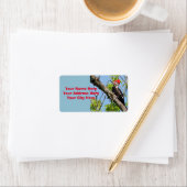 Male Pileated Woodpecker Etiket (Insitu)