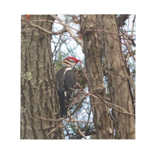 Male Pileated Woodpecker Notitieblok