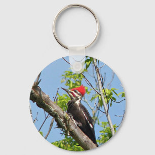 Male Pileated Woodpecker Sleutelhanger