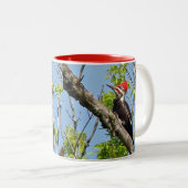 Male Pileated Woodpecker Tweekleurige Koffiemok (Voorkant rechts)