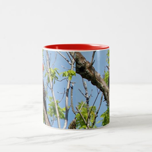 Male Pileated Woodpecker Tweekleurige Koffiemok (Center)