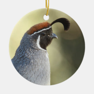 Male Quail Portret Keramisch Ornament