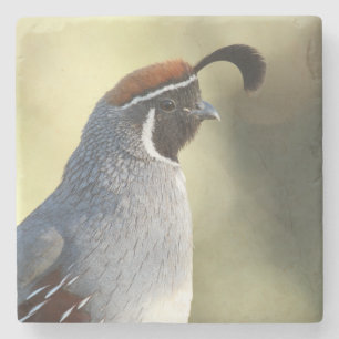 Male Quail Stenen Onderzetter