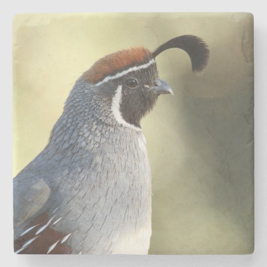 Male Quail Stenen Onderzetter (Voorkant)