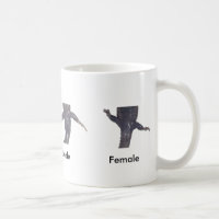 Mâle repéré de salamandre contre la tasse femelle