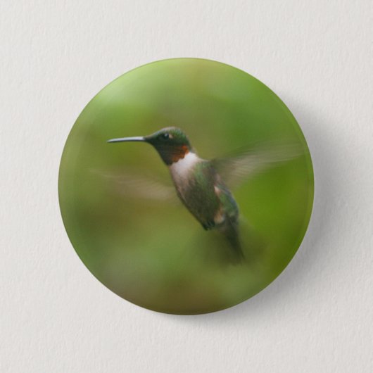 Male Ruby Throat Hummingbird Button (Voorkant)
