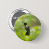 Male Ruby Throat Hummingbird Button (Voorkant /achterkant)