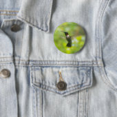 Male Ruby Throat Hummingbird Button (In situ)